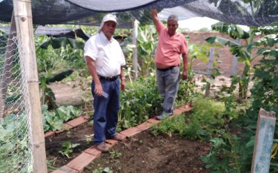 Visitas técnicas del proyecto de Agricultura Urbana en los municipios de Ambalema y Alvarado
