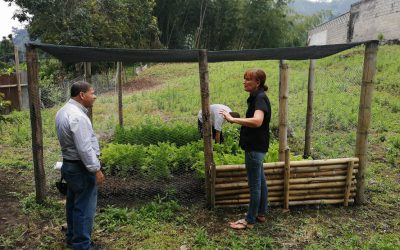 Desarrollo del Proceso de Agricultura Urbana en el Municipio del Líbano